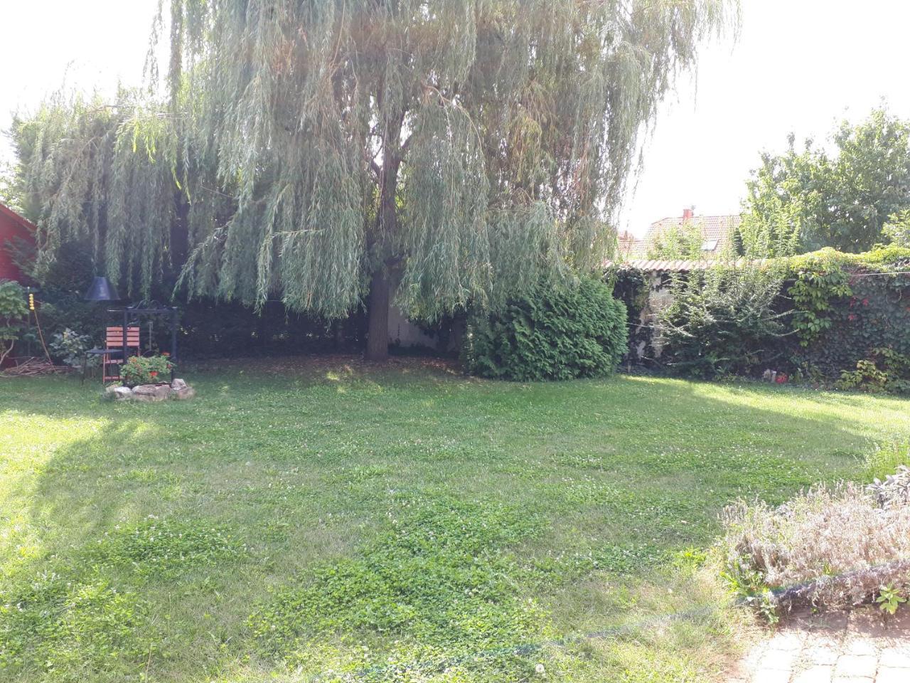 Kertvarosi Apartman Tiszaújváros Buitenkant foto