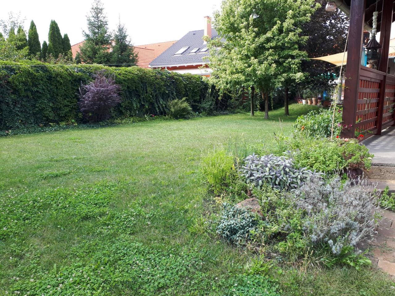 Kertvarosi Apartman Tiszaújváros Buitenkant foto